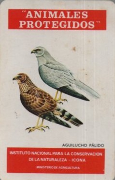 CALENDARIO FOURNIER ICONA AGUILUCHO PÁLID AÑO 1975