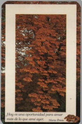 CALENDARIO PAISAJE DE OTOÑO AÑO 1999