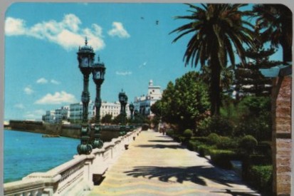 CALENDARIO ALAMEDA APODACA CÁDIZ AÑO 1984