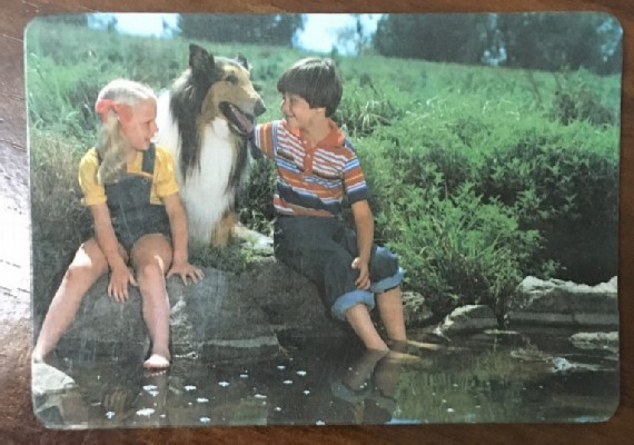 CALENDARIO PERROS AÑO 1989