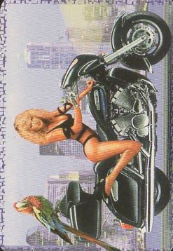 CALENDARIO SEÑORITA. AÑO 2005.