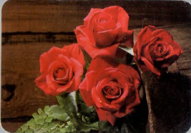 CALENDARIO ROSAS AÑO 1990