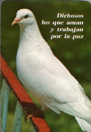 CALENDARIO PALOMA DE LA PAZ AÑO 1986