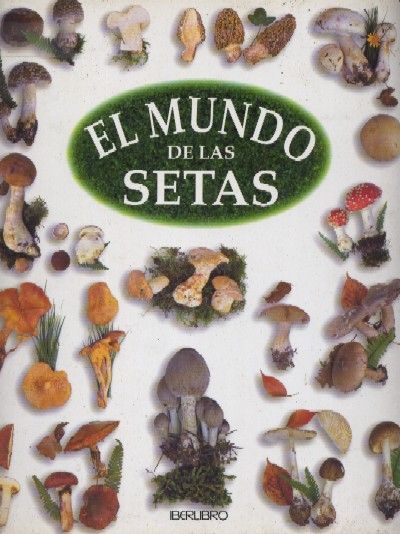 EL MUNDO DE LAS SETAS