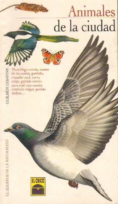 CUADERNOS DE LA NATURALEZA: ANIMALES DE LA CIUDAD