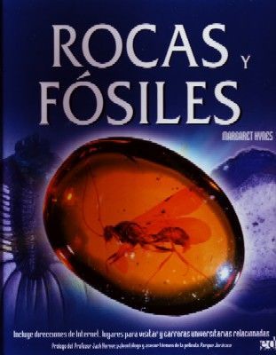 ROCAS Y FOSILES