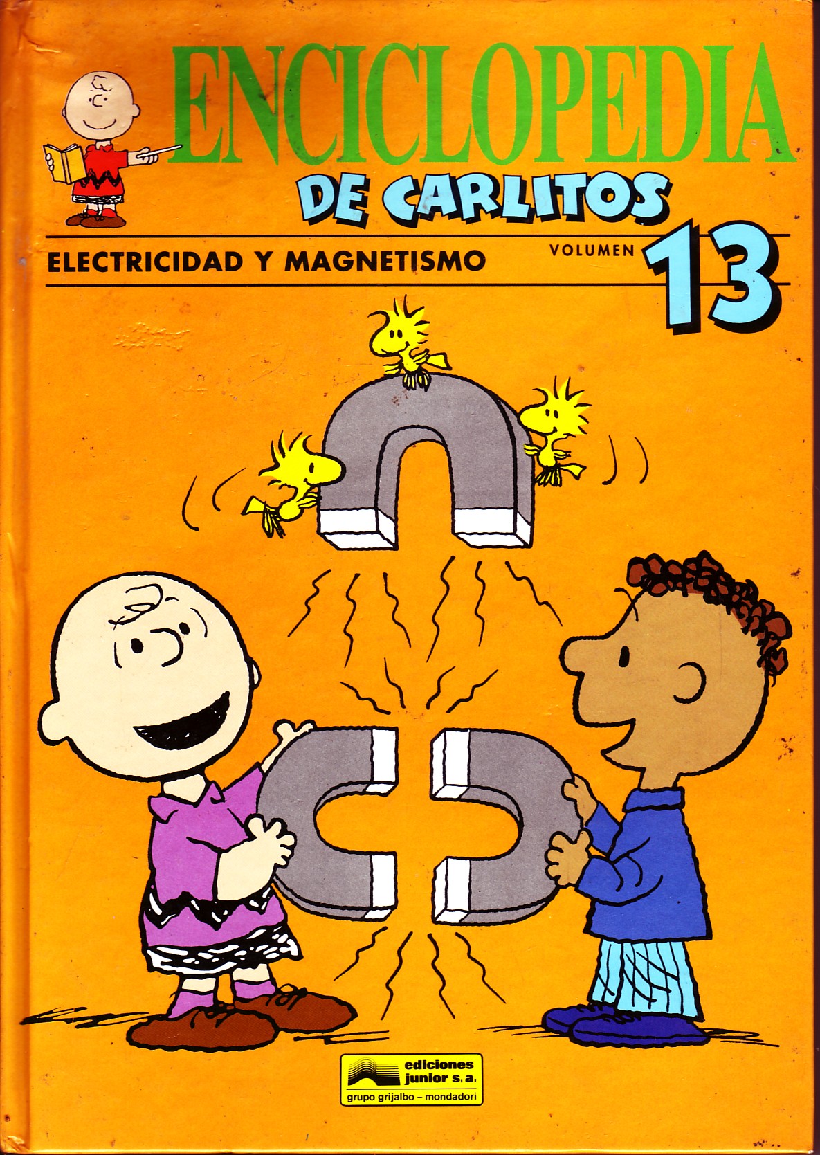 ENCICLOPEDIA DE CARLITOS VOL 13 ELECTRICIDAD Y MAGNETISMO