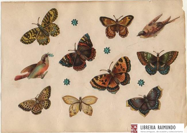 10 CROMOS TROQUELADOS DE ÉPOCA. MARIPOSAS. MONTADOS SOBRE CARTULINA DE 23X16 CM.