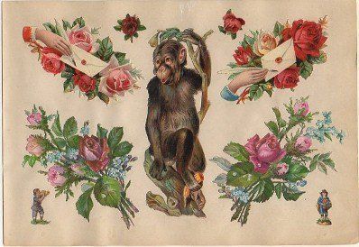 9 CROMOS TROQUELADOS DE ÉPOCA. MONO Y FLORES. MONTADOS SOBRE CARTULINA DE 23X16 CM.