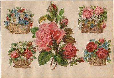 5 CROMOS TROQUELADOS DE ÉPOCA. FLORES. MONTADOS SOBRE CARTULINA DE 23X16 CM.