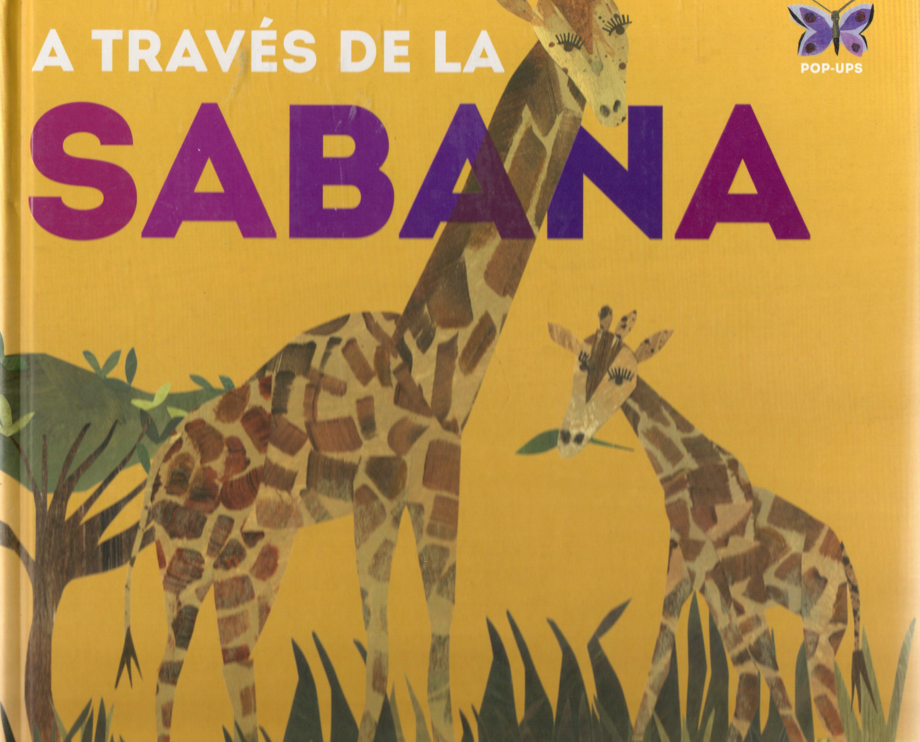 A TRAVES DE LA SABANA