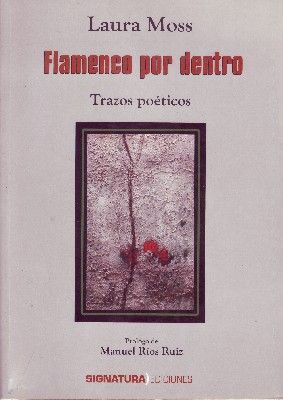 FLAMENCO POR DENTRO