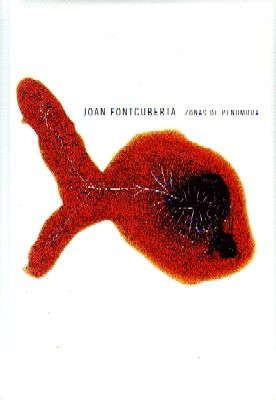 ZONAS DE PENUMBRAS