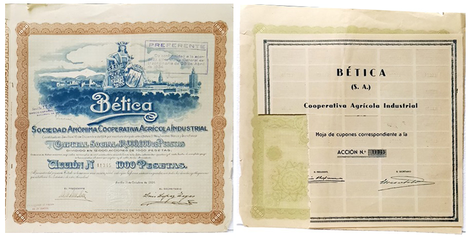 BETICA S.A. COOP. AGRICOLA INDUSTRIAL CAPITAL 12.000.000 PTAS. Nº 11345 100 PTAS. SEVILLA 1926