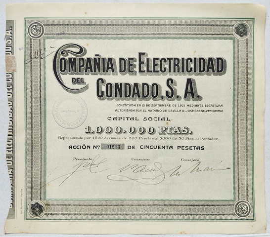 ACCION COMPAÑÍA DE ELECTRICIDAD DEL CONDADO, S.A. CAPITAL 1 MILLON PTAS. ACCION Nº 01513