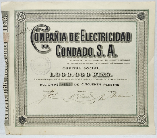 ACCION COMPAÑÍA DE ELECTRICIDAD DEL CONDADO, S.A. CAPITAL 1 MILLON PTAS. ACCION Nº 01516