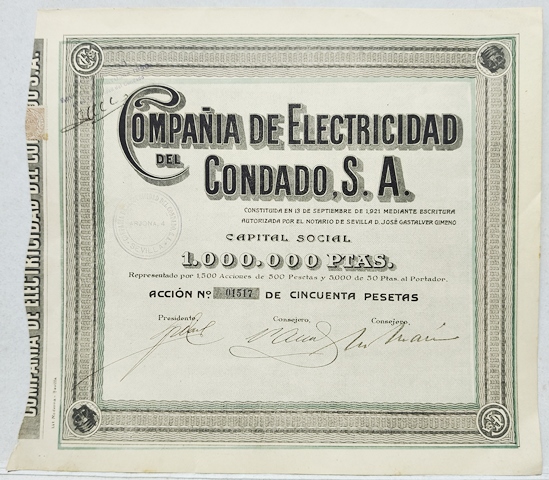 ACCION COMPAÑÍA DE ELECTRICIDAD DEL CONDADO, S.A. CAPITAL 1 MILLON PTAS. ACCION Nº 01517