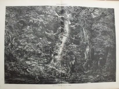 XILOGRAFIA: SELVA VIRGEN. ILUSTRACION ARTISTICA