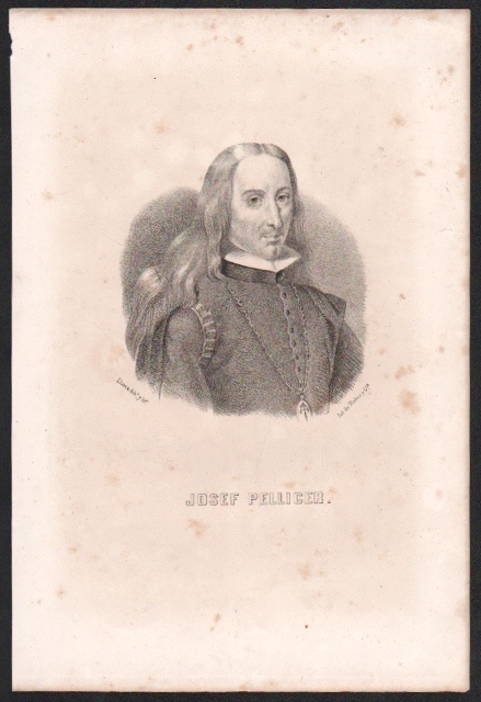 LITOGRAFIA DE JOSEF PELLICER. MANCHAS DE OXIDO. TAMAÑO 32 X 21 CM.