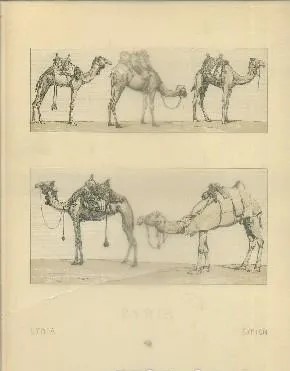 LITOGRAFIA TIPOS Y COSTUMBRES. SYRIE