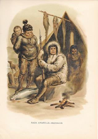 CROMOLITOGRAFIA DE TIPOS Y COSTUMBRES RAZA AMARILLA - ESQUIMALES