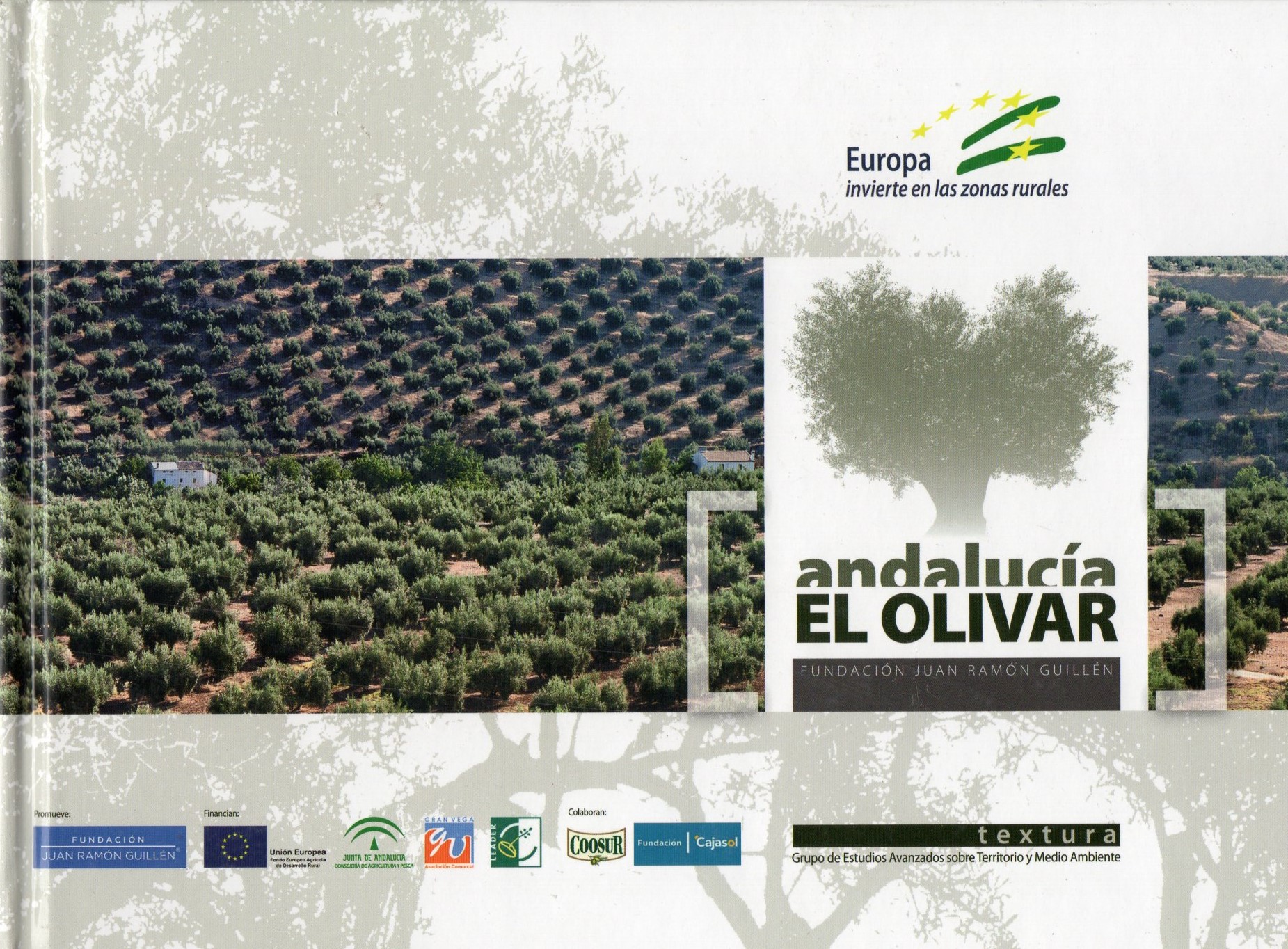 ANDALUCIA EL OLIVAR
