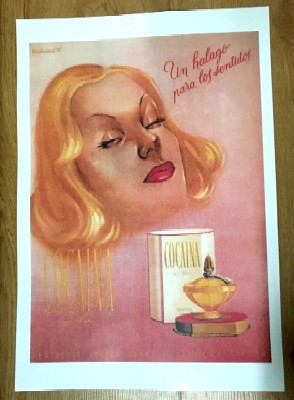 REPRODUCCION DE CARTEL UN HALAGO PARA LOS SENTIDOS, COCAINA EN FLOR.