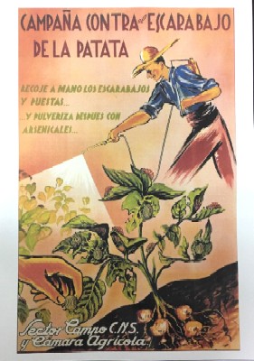 REPRODUCCION DE CARTEL REPRODUCCION DE CARTEL CAMPAÑA CONTRA EL ESCARABAJO DE LA PATATA.