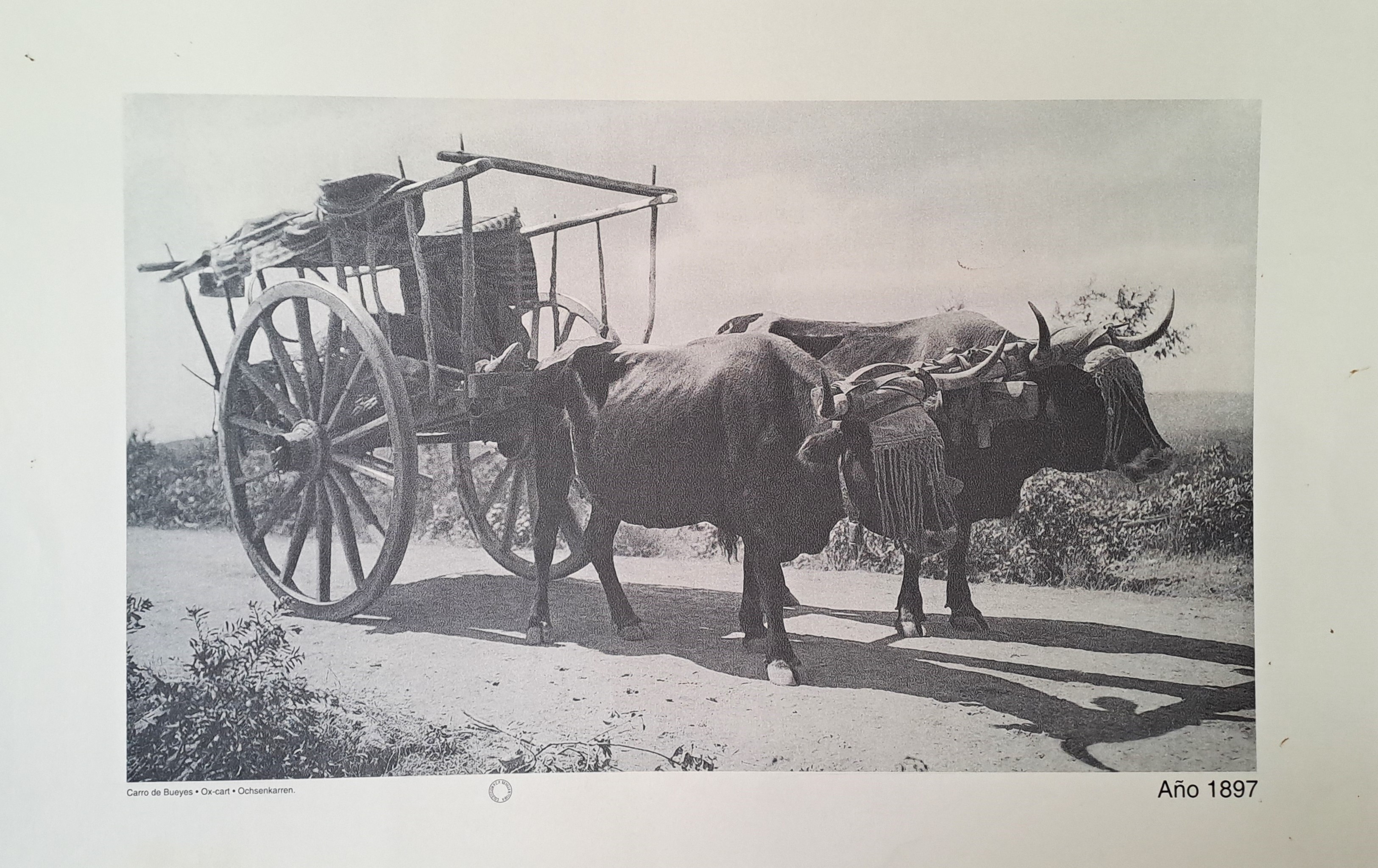 REPRODUCION LAMINA CARRO DE BUEYES AÑO 1897