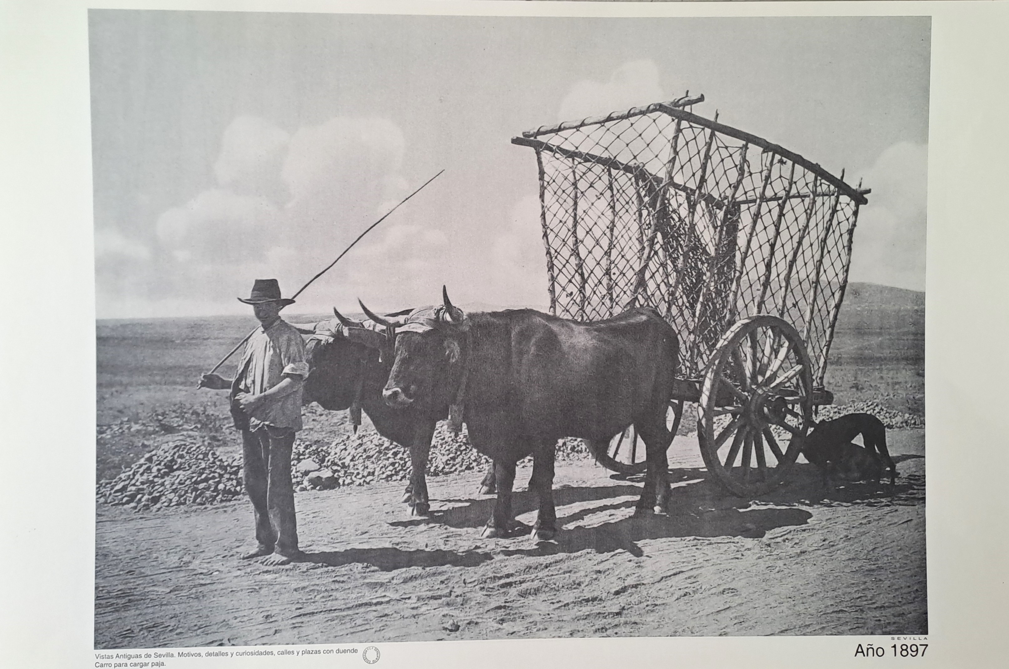 REPRODUCION LAMINA VISTAS ANTIGUAS DE SEVILLA CARRO PARA CARGAR PAJA AÑO 1897