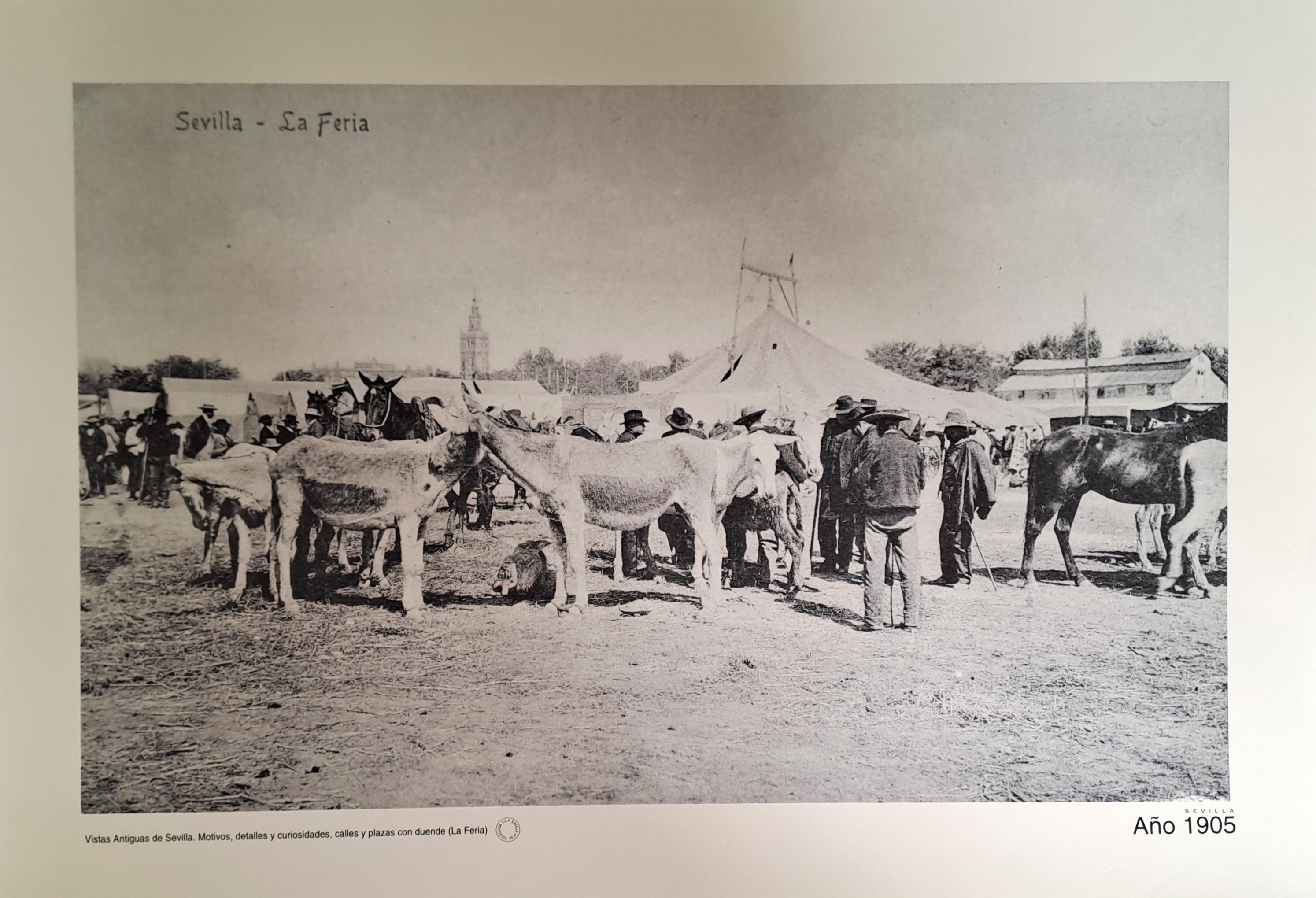 REPRODUCION LAMINA VISTAS ANTIGUAS DE SEVILLA LA FERIA  AÑO 1905