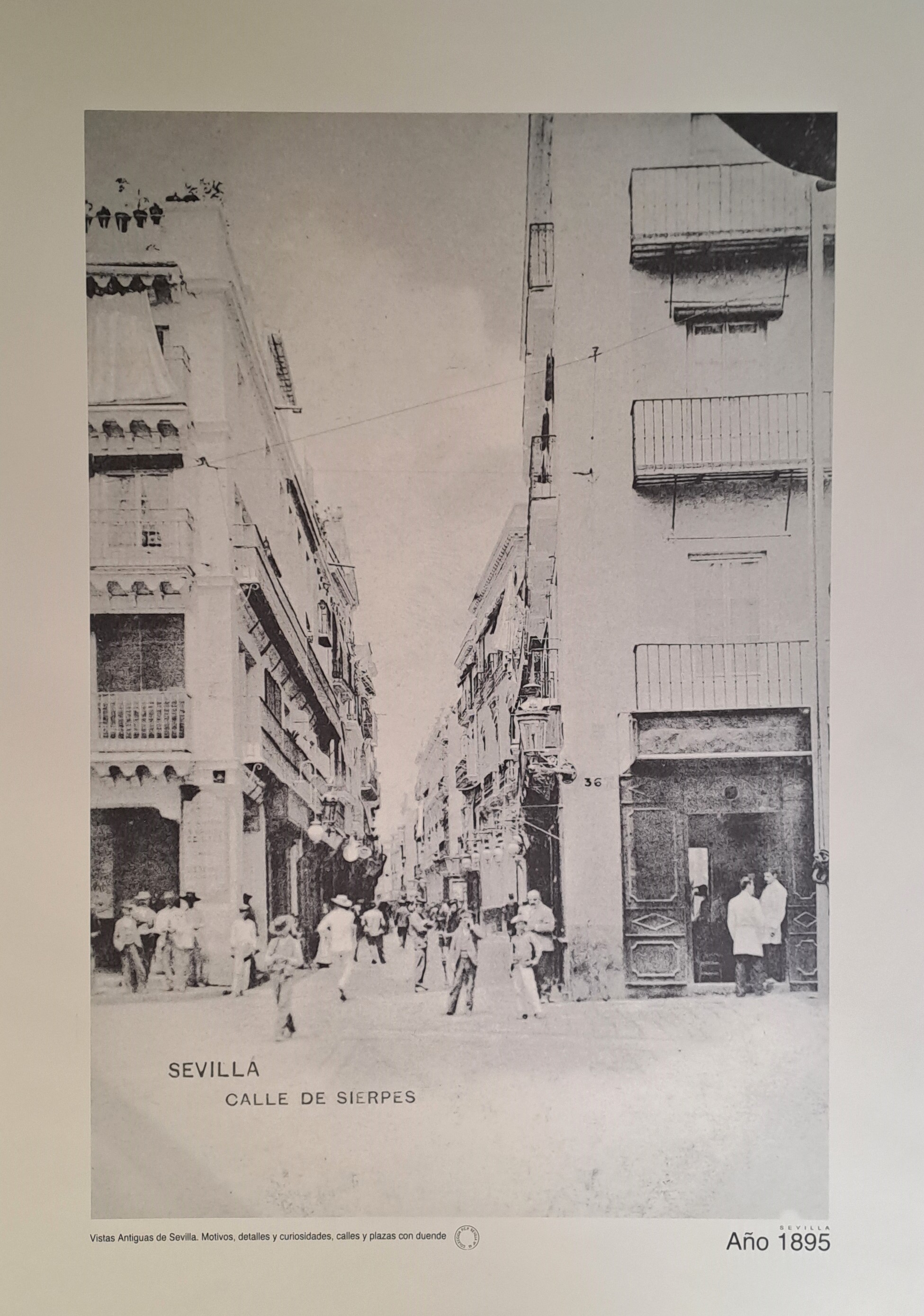 REPRODUCION LAMINA VISTAS ANTIGUAS DE SEVILLA CALLE DE SIERPES AÑO 1895
