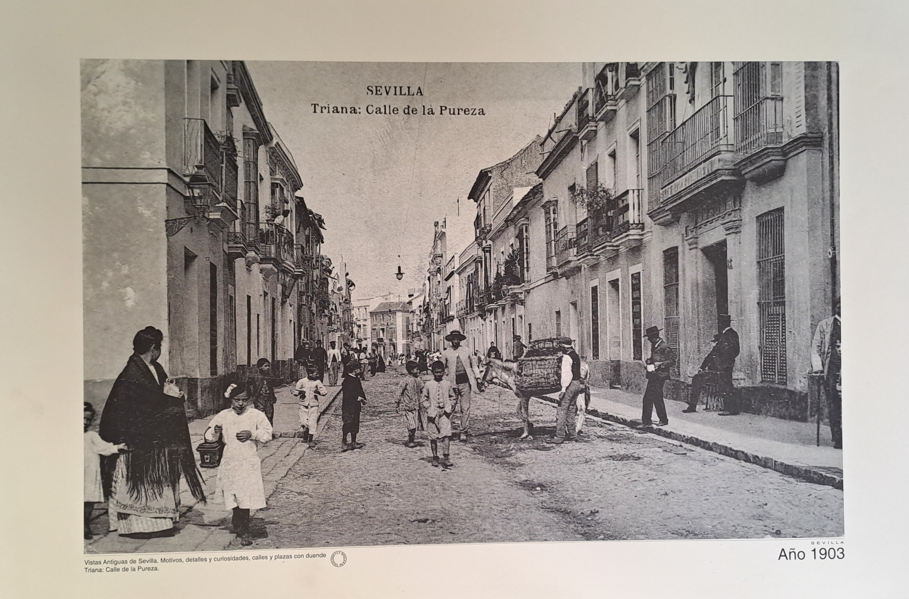 REPRODUCION LAMINA VISTAS ANTIGUAS DE SEVILLA TRIANA CALLE DE LA PUREZA AÑO 1903