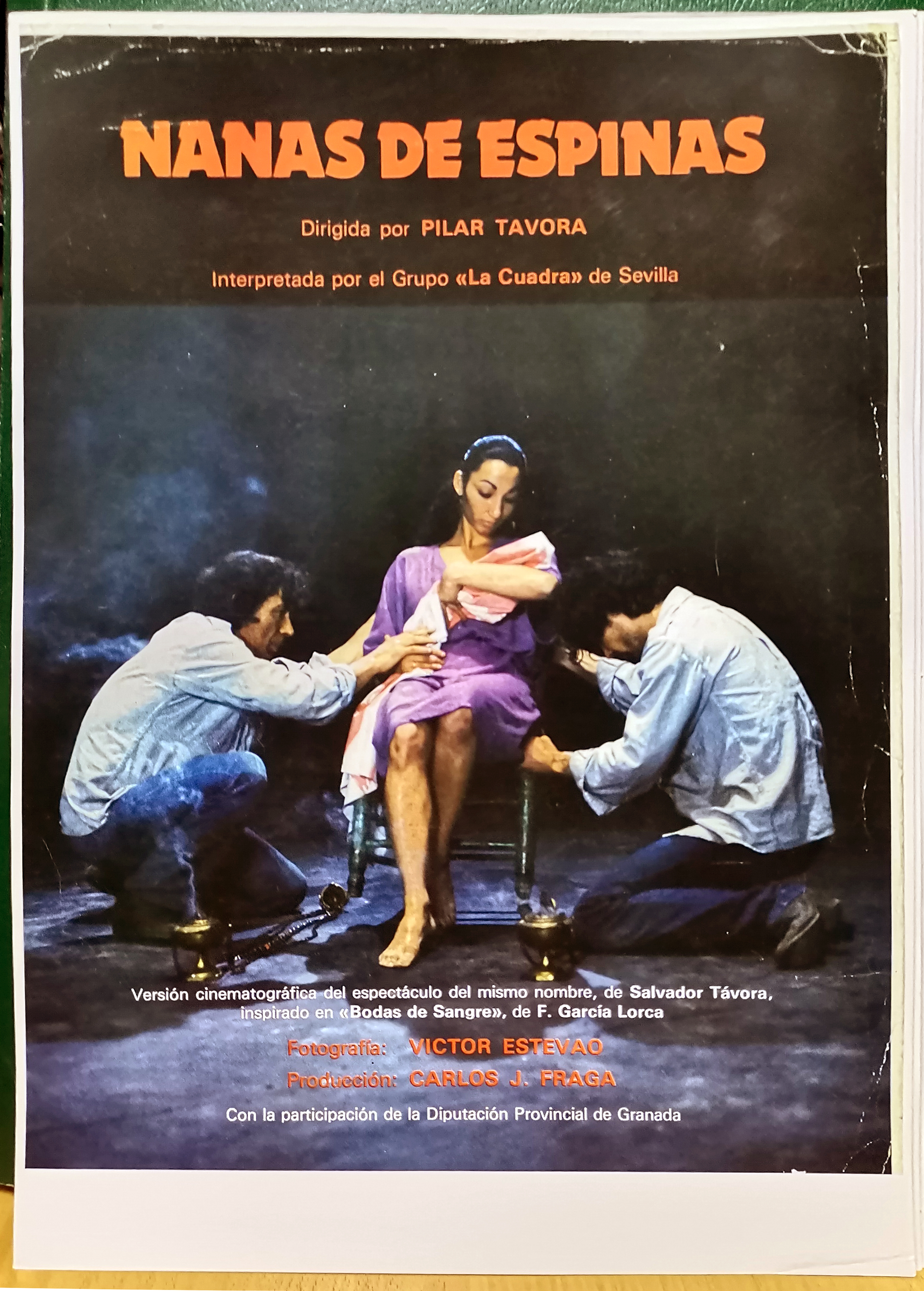 REPRODUCCION FOTOGRAFIA CARTEL NANAS DE ESPINAS