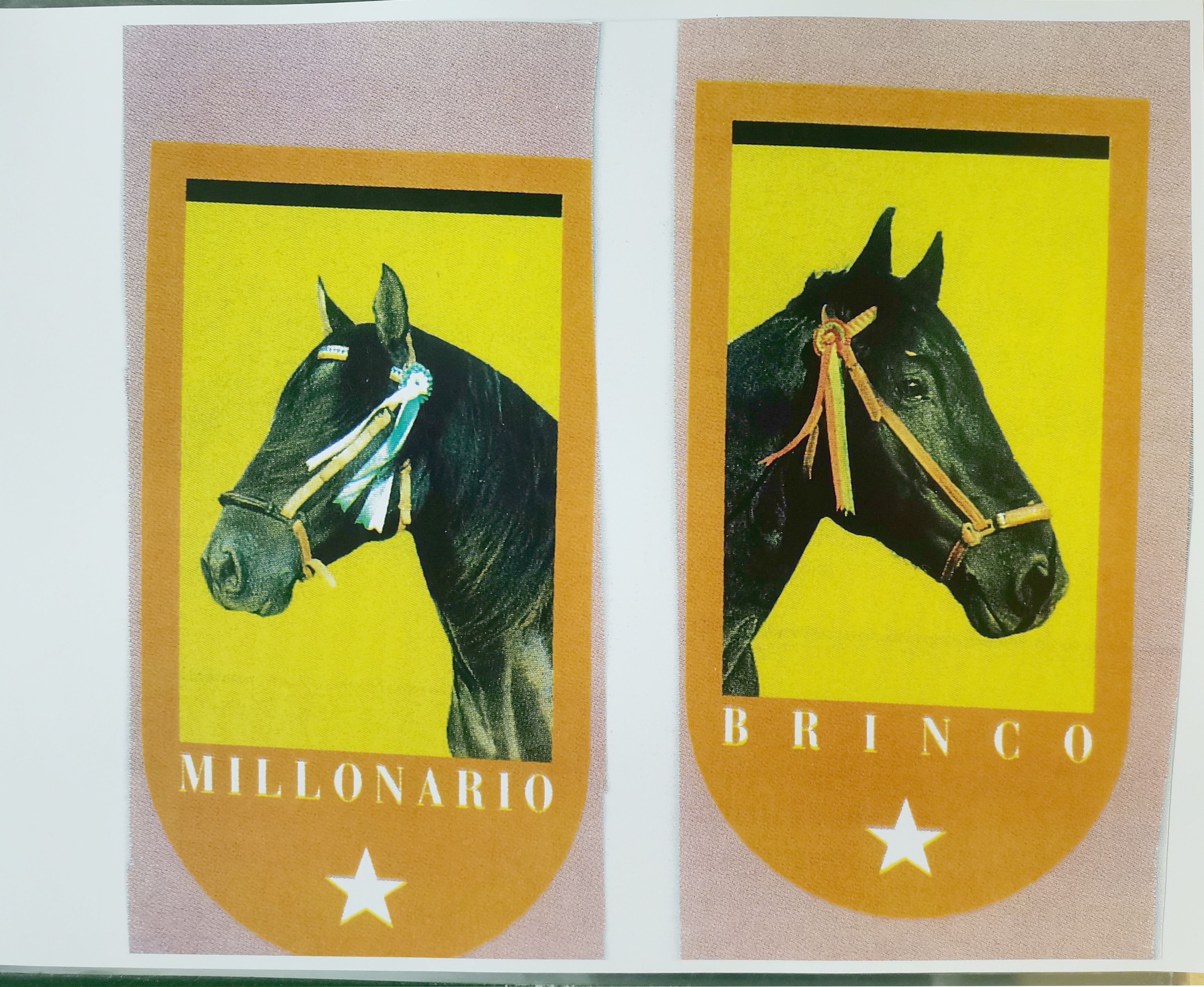 REPRODUCCION 2 BANDERINES CON CABEZA DE CABALLO: MILLONARIO Y BRINGO
