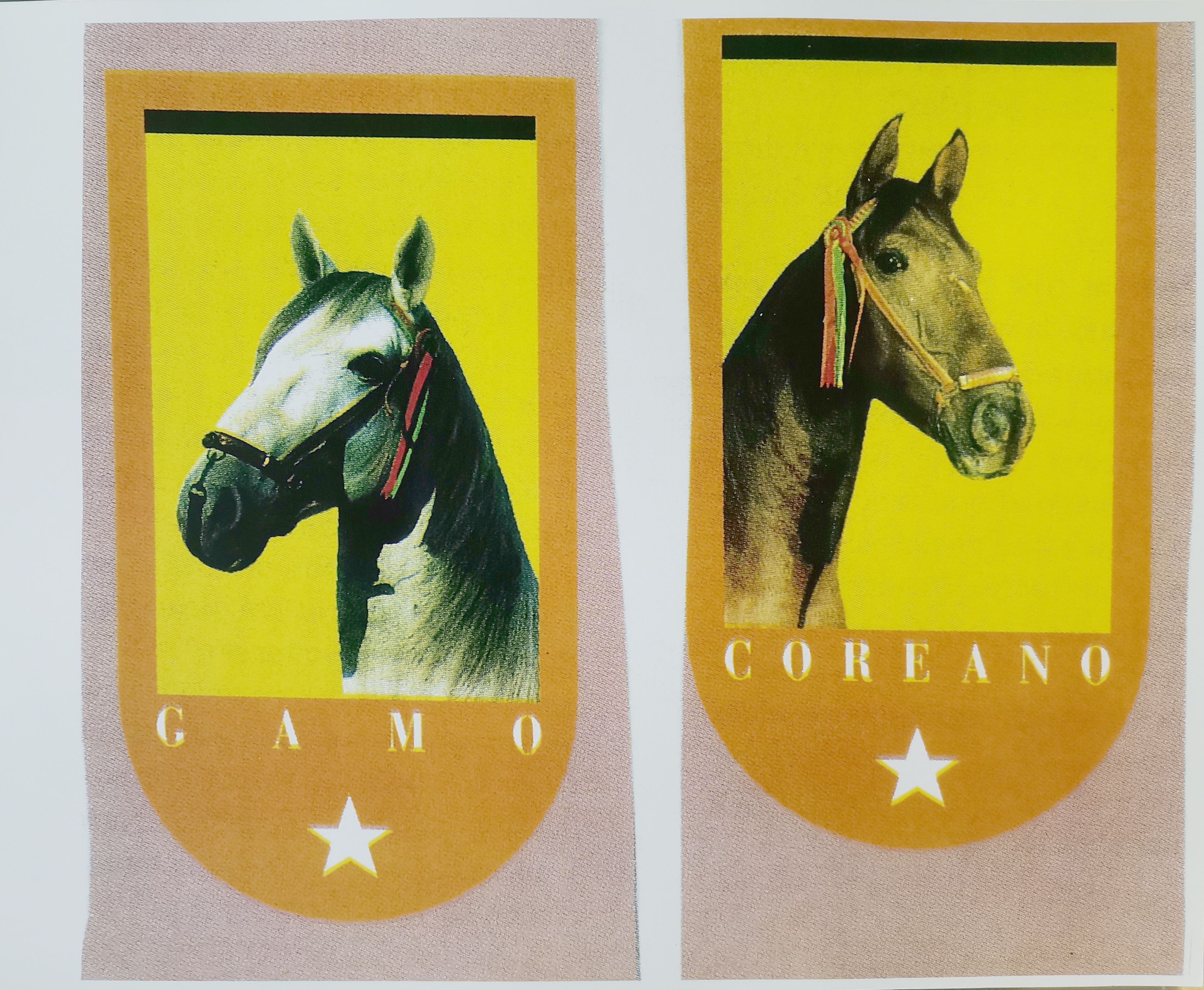 REPRODUCCION 2 BANDERINES CON CABEZA DE CABALLO: GAMO Y COREANO