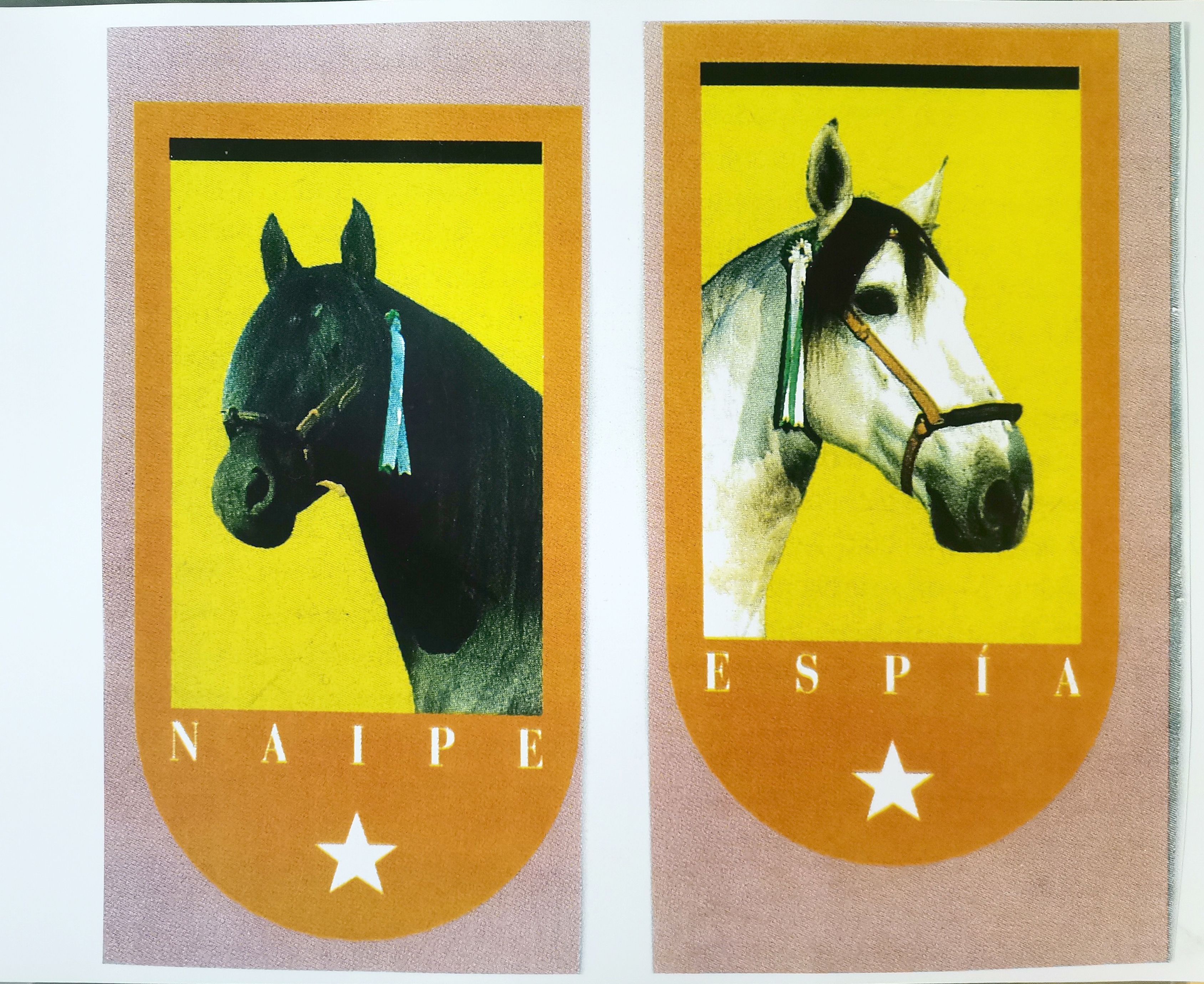 REPRODUCCION 2 BANDERINES CON CABEZA DE CABALLO: NAIPE Y ESPIA