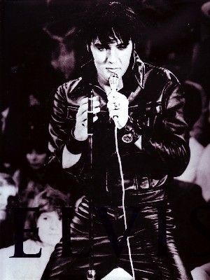 ELVIS