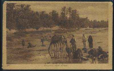 POSTAL DE MARRUECOS CARAVANE DANS L'OASIS