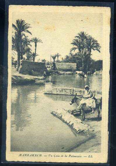 POSTAL DE MARRUECOS - MARRAKECH UN COIN DE LA PALMERAIE