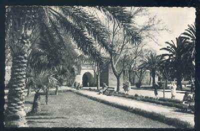 POSTAL DE MARRUECOS - OUJDA Nº 154 PORTE ET JARDINS DE BAB SIDI AISSA