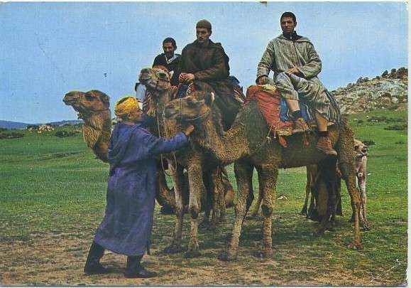 POSTAL DE MARRUECOS. CAMELLEROS Nº 115