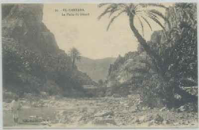 POSTAL DE ARGELIA. EL-KANTARA Nº 40. LA PORTE DU DESERT