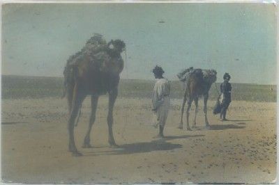 POSTAL DE MARRUECOS. TIPOS DEL PAIS