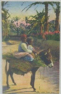 POSTAL DE MARRUECOS. TROIS AMIS Nº 1253