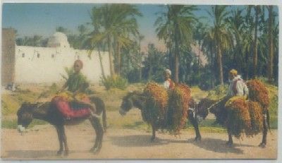 POSTAL DE MARRUECOS. TIPOS DEL PAIS