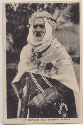 POSTAL DE AFRICA. ARGELIA. SCENES ET TYPES. UN GRAN CHEF ARABE Nº 210