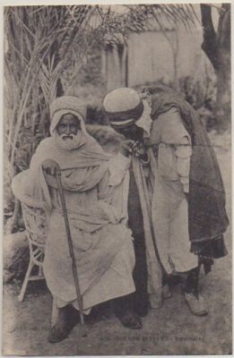 POSTAL DE AFRICA. ARGELIA. SCENES ET TYPES. SALAMALEC Nº 409