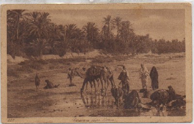 POSTAL DE MARRUECOS. CARABANE DANS L'OASIS