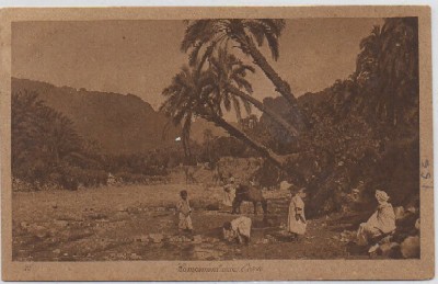 POSTAL DE MARRUECOS. CAMPEMENT DANS L'OASIS